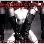 The Perfect Slave- Femdom Hypnosis perfectslaveart